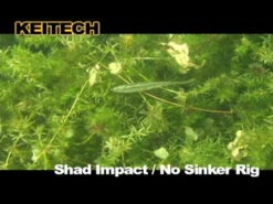 Keitech Shad Impact -Fishing Gear Store image 1026