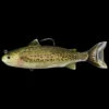 LIVETARGET Adult Trout Swimbait 1 LIVETARGET Adult Trout Swimbait -Fishing Gear Store image 1082