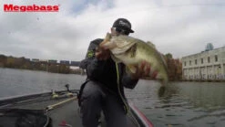 Megabass I-Slide 262T Swimbait -Fishing Gear Store image 1125