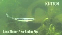 Keitech Easy Shiner Swimbaits -Fishing Gear Store image 1150