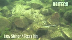 Keitech Easy Shiner Swimbaits -Fishing Gear Store image 1152