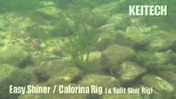 Keitech Easy Shiner Swimbaits -Fishing Gear Store image 1153