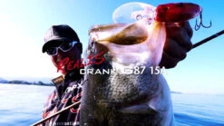 Duo Realis Crank G87 15A Crankbait -Fishing Gear Store image 1158