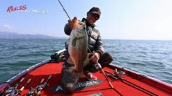 Duo Realis Crank M65 11A Crankbait -Fishing Gear Store image 1164