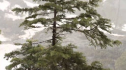 Grundens GAGE 30 Liter Rum Runner Waterproof Backpack 11 Grundens GAGE 30 Liter Rum Runner Waterproof Backpack -Fishing Gear Store image 1530