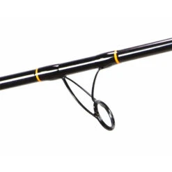 Lamiglas Carbon Surf Spinning Rods