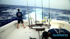 Fishing Gear Store 20 Fishing Gear Store -Fishing Gear Store image 45