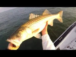 Tsunami Trophy Slow Pitch Jigging Casting Rods -Fishing Gear Store image 467