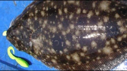 Tsunami Classic Casting Rods -Fishing Gear Store image 552