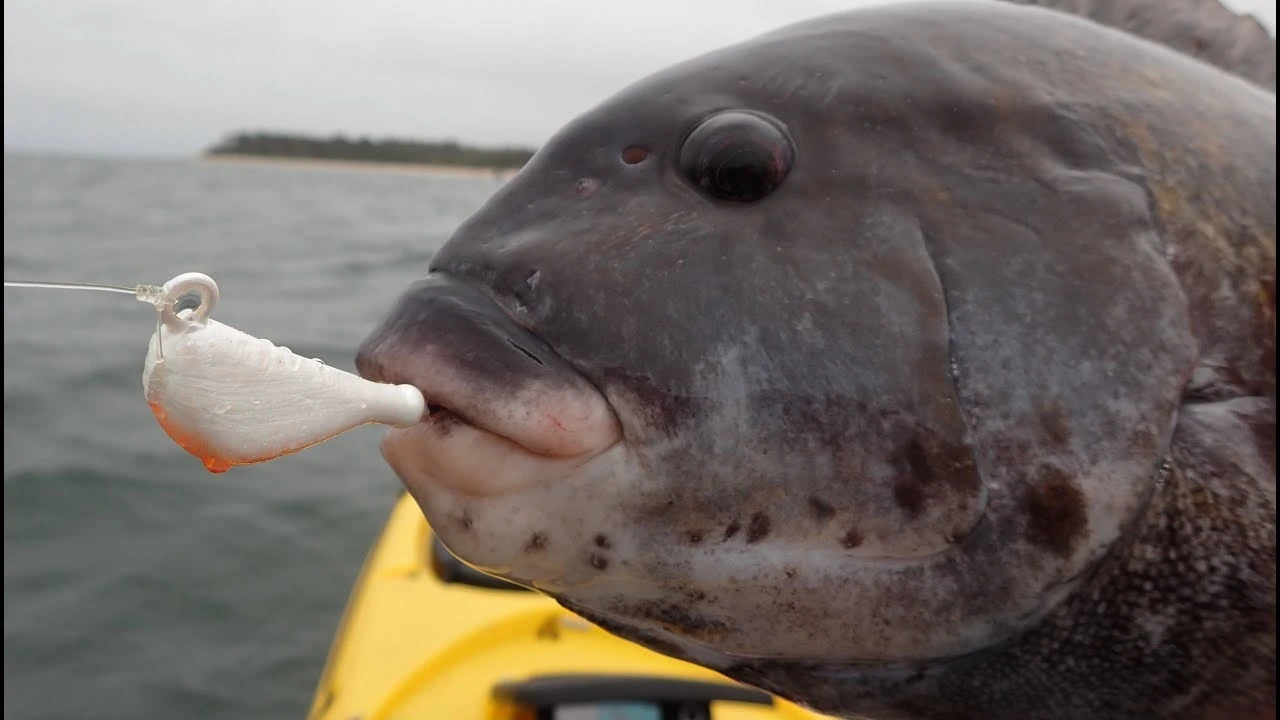 S&S Bucktails John Skinner Porgy & Blackfish Jigs 5 S&S Bucktails John Skinner Porgy & Blackfish Jigs - Image 3