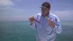 Nomad Design Chug Norris Poppers -Fishing Gear Store image 781