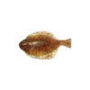 Hogy 5 Inch Flounder (3 Pack) -Fishing Gear Store image 791