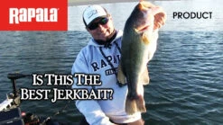 Rapala Shadow Rap Shad -Fishing Gear Store image 916