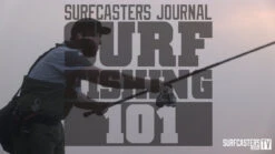 Sebile Magic Swimmer -Fishing Gear Store image 937