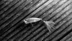 Duo Realis Popper 64 -Fishing Gear Store image 945