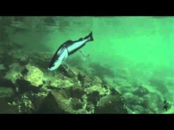 Duo Realis Onimasu 188F Floating Swimbait -Fishing Gear Store image 968