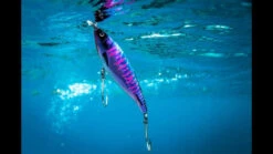 Nomad Design Madscad -Fishing Gear Store image 973