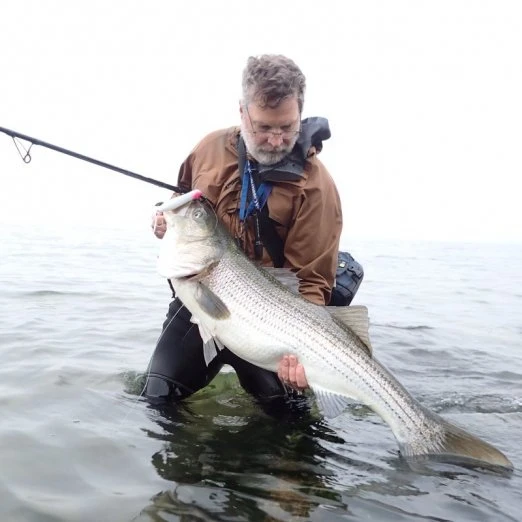 Tsunami Talkin Popper XD 5 Tsunami Talkin Popper XD - Image 3